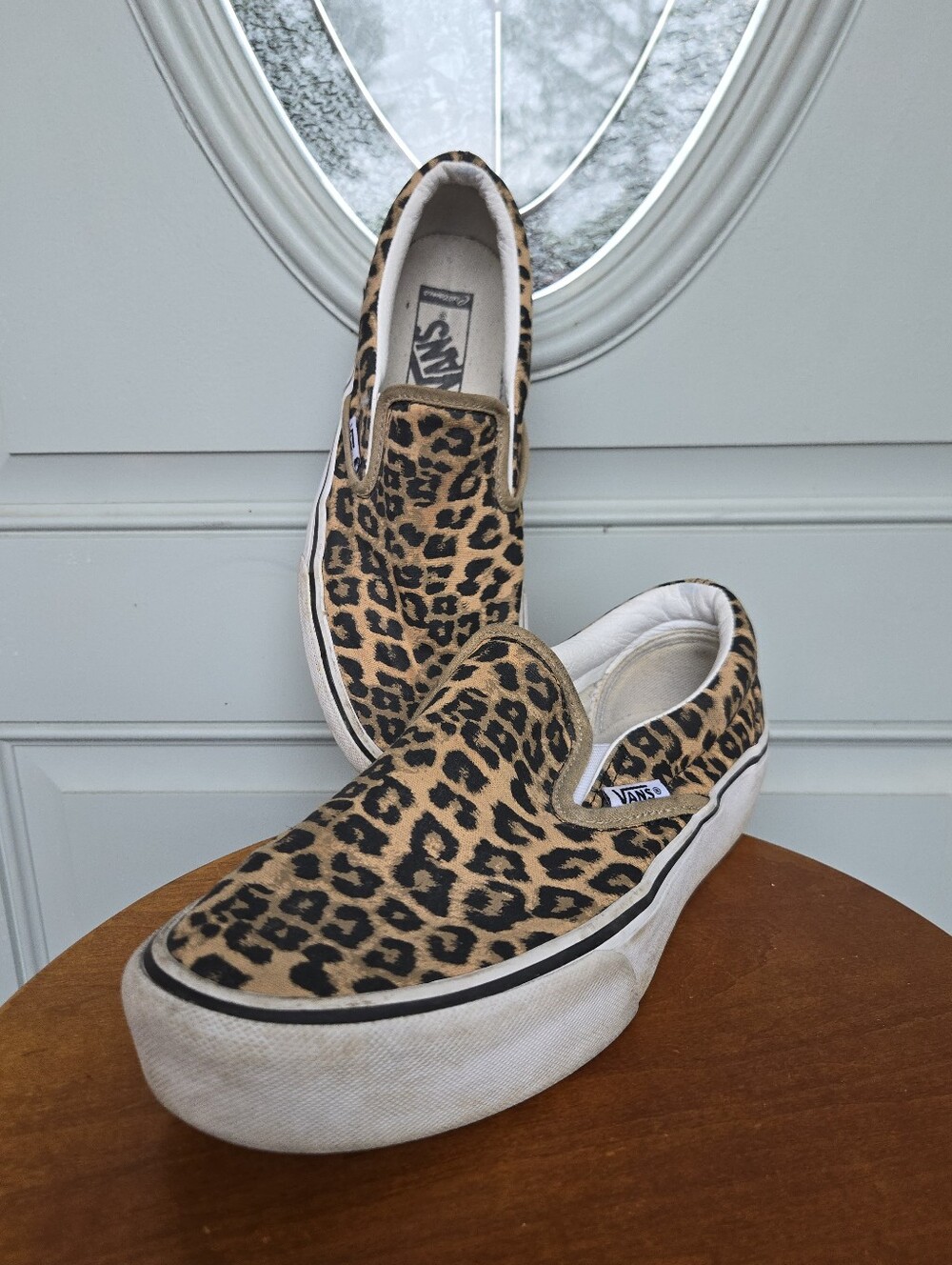 Vans Slip-On Skate Shoe Leopard